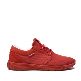 Womens Supra Low Top Shoes HAMMER RUN Bossa Nova | AU-80503